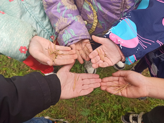 Мы по садику гуляли, за природой наблюдали... Мы по садику гуляли, за природой наблюдали.